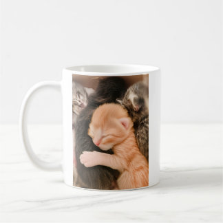 Family Is Everything, Kitten Coffee Mug Kaffemugg