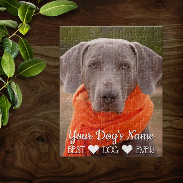 Family Pet Photo Personlig Pussel (Skapare uppladdad)
