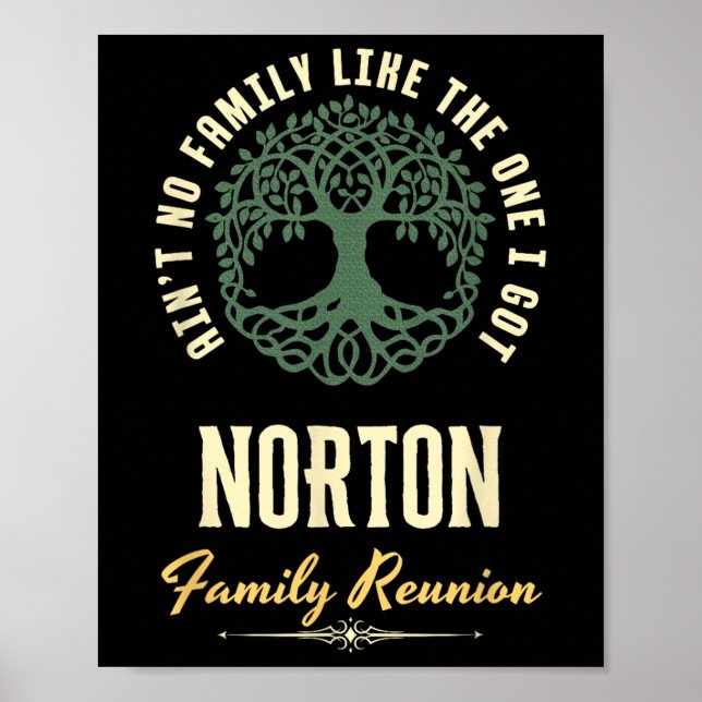 Family Reunion 2025 Matching Design - Norton  Poster (Framsidan)