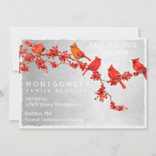 Family Reunion Red Cardinals Winter Spara Datumet