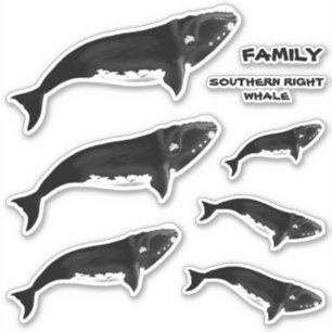 FAMILY SOUTHERN HÖGER WHALE KLISTERMÄRKEN