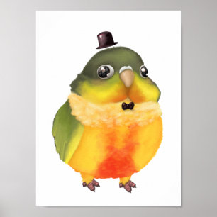 Fanciful Conure tryck