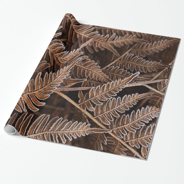 Fanciful Frostbitten bruna Ferns Presentpapper (Utrullad)