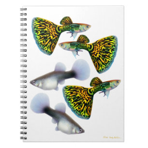 Fancy Fantail Guppy-anteckningsbok Anteckningsbok Med Spiral