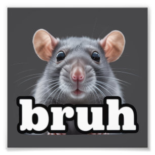 Fancy Rått Rodent Ägare Meme Bruh Husdjur Råttälsk Fototryck