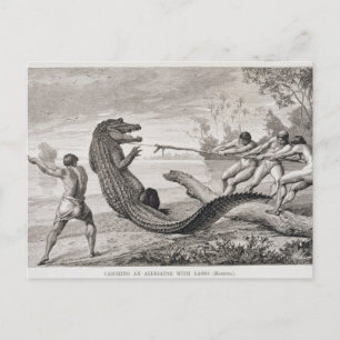 Fånga en alligator med lasso vykort