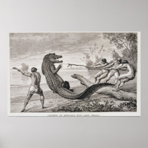 Fånga en alligator med lassoen poster