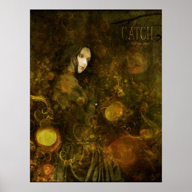 fånga en fallande stjärna poster (Framsidan)