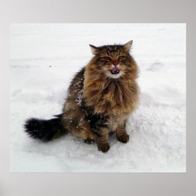 Fånga en snöflake poster (Framsidan)