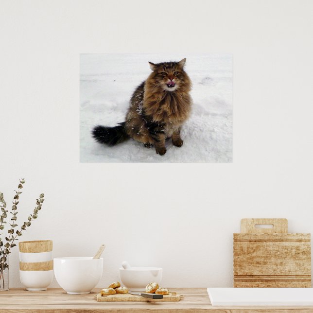 Fånga en snöflinga poster (Kök)