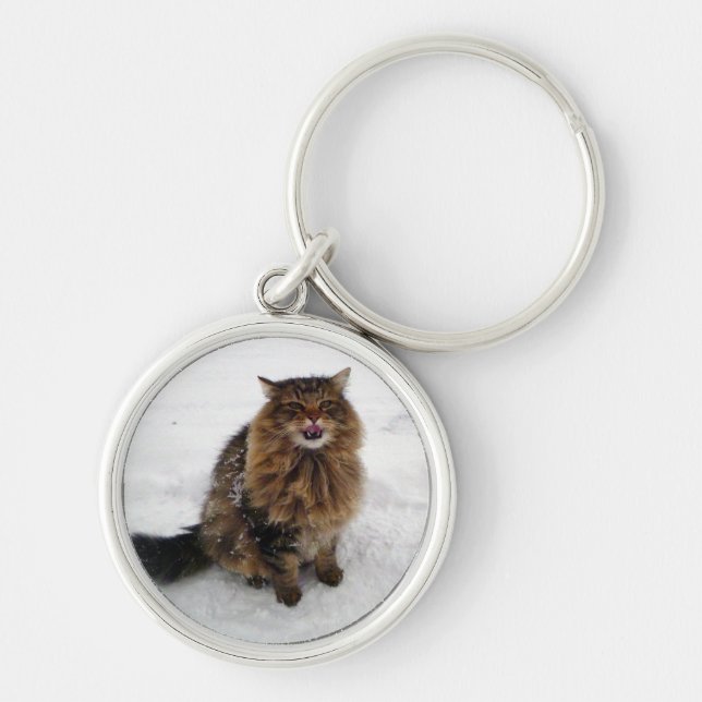 Fånga en snowflake rund silverfärgad nyckelring (Framsidan)