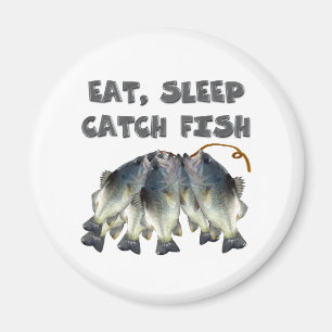 fånga fisken magnet