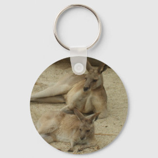 Fånga strålarna nyckelring