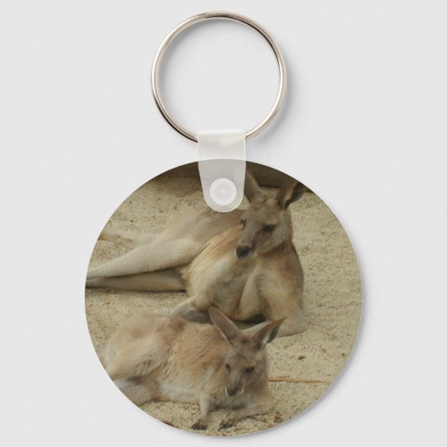 Fånga strålarna nyckelring (Framsida)