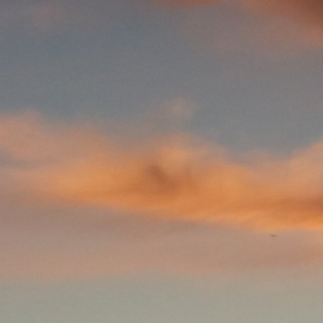 Fånga varje dröm Mugg (Skapare uppladdad)