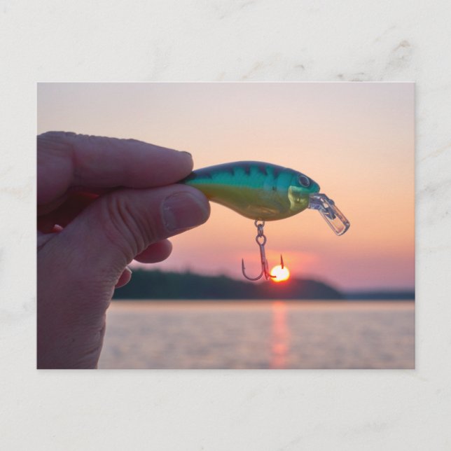 Fånga vykortet för solnedgång vykort (Framsida)