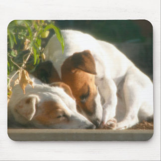 Fånga zzzzs musmatta