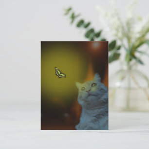 Fångad av skönhet: Katt hypnotiserad av fjäril Vykort
