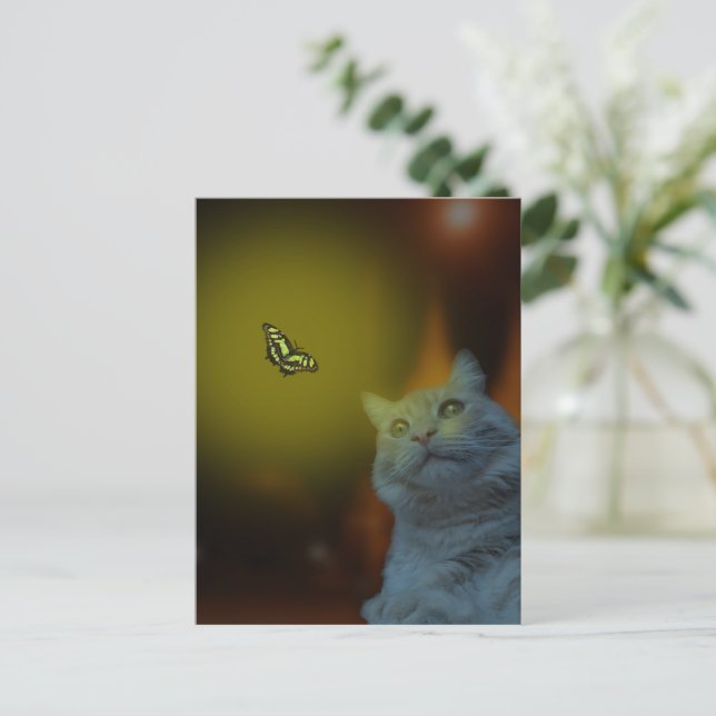 Fångad av skönhet: Katt hypnotiserad av fjäril Vykort (Stående Fram)