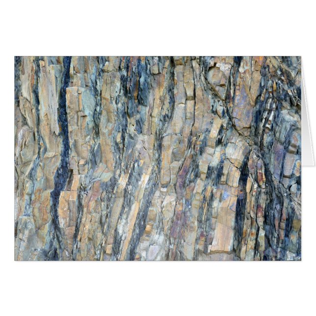 Fängad Sten i nationalparken Olympic National Park OBS Kort (Framsidan Horizontal)