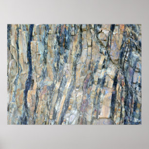 Fängad Sten i nationalparken Olympic National Park Poster