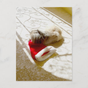 Fångad Tomte Helg Vykort