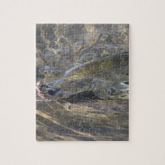 Fångade Walleye Pussel