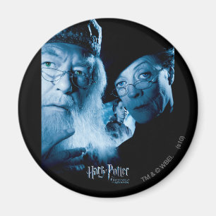 Fångare i Azkaban - spanska 1 Magnet