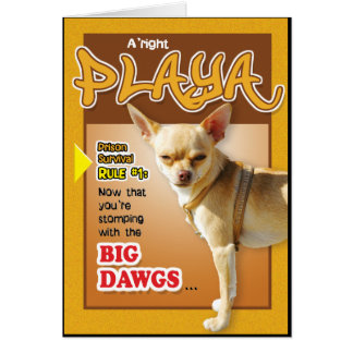 Fängelsekort - bästa Dawg Hälsningskort