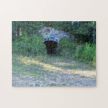 fängelselägerpussel