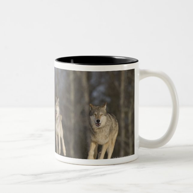 Fången Duluth, Minnesota, USA 2 Två-Tonad Mugg (Höger)