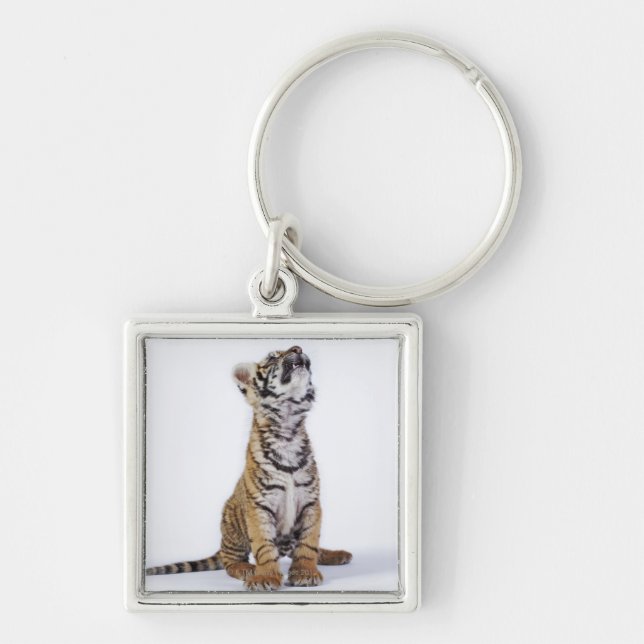 Fången Sydafrika 2 Fyrkantig Silverfärgad Nyckelring (Framsidan)