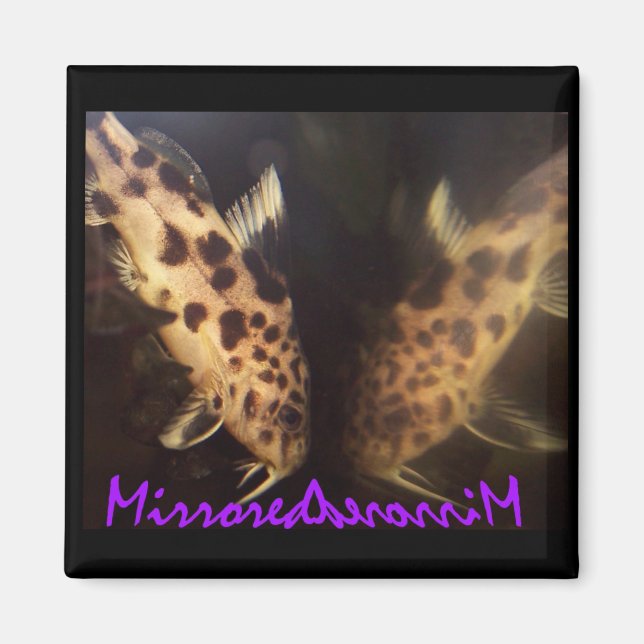 Fångfiskmagnet (speglad) magnet (Framsidan)