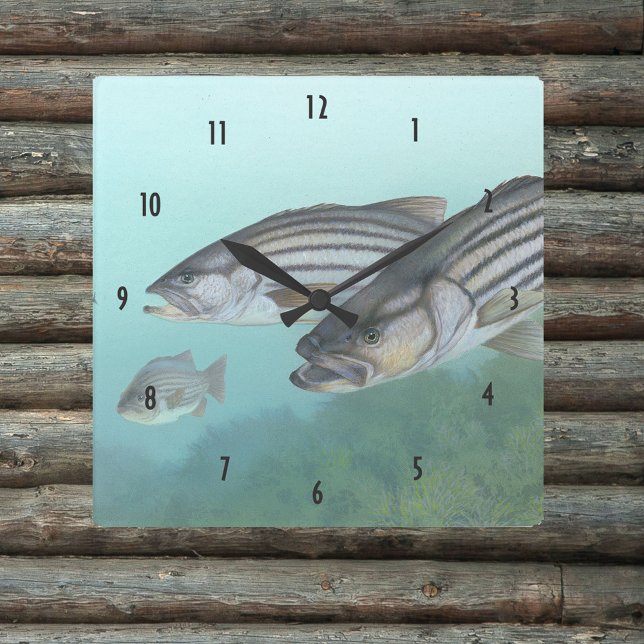 Fångillustration av randig basfisk fyrkantig klocka (Skapare uppladdad)