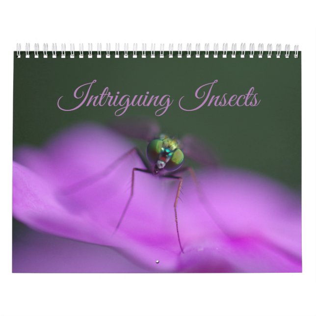 Fängslande insekter kalender (Omslag)