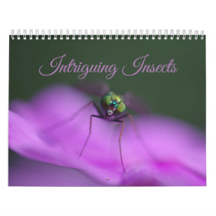 Fängslande insekter kalender
