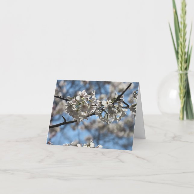Fängslande körsbärsblomgrußkort kort (Framsida)