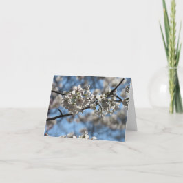 Fängslande körsbärsblomgrußkort kort