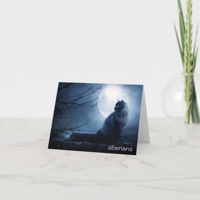 Fängslande Siberian katt på natt Kort (Framsida)
