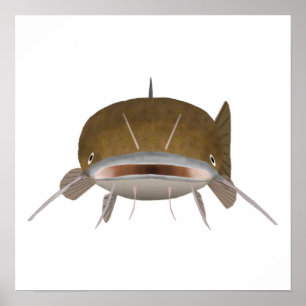 Fångst av tonfisk - fiskhuvud poster