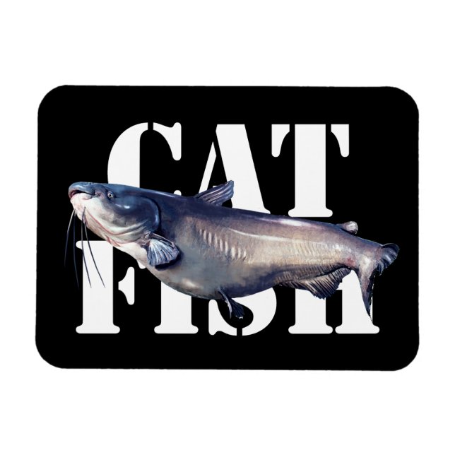 Fångst Magnet (Horisontell)