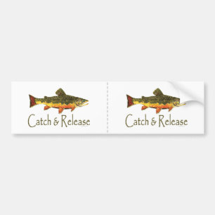 Fångst- och frigöringsregnbågsfiske bildekal