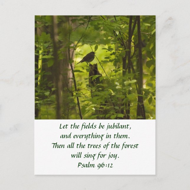 Fångsten i Grönten Forest Vykort (Framsida)