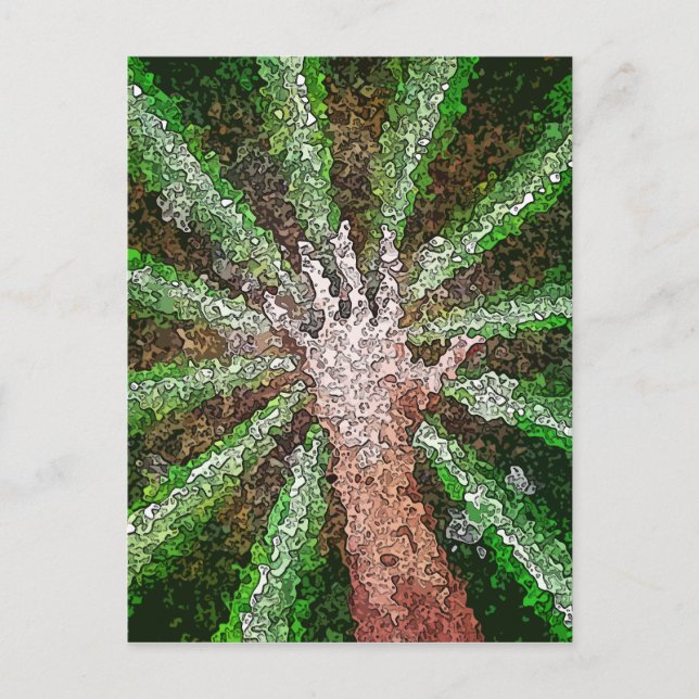 Fångstljus Vykort (Framsida)