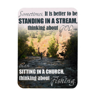 Fångstmagnet Magnet