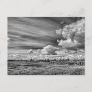 Fångstmoln (B&W) Vykort