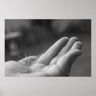 Fångstområde Poster