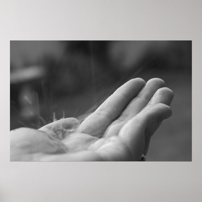 Fångstområde Poster (Framsidan)