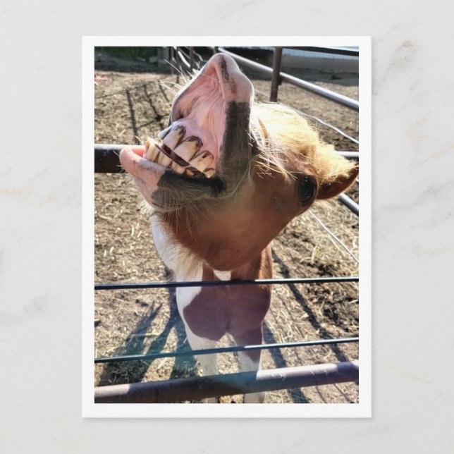 Fånig Ansikte vykort (Framsida)