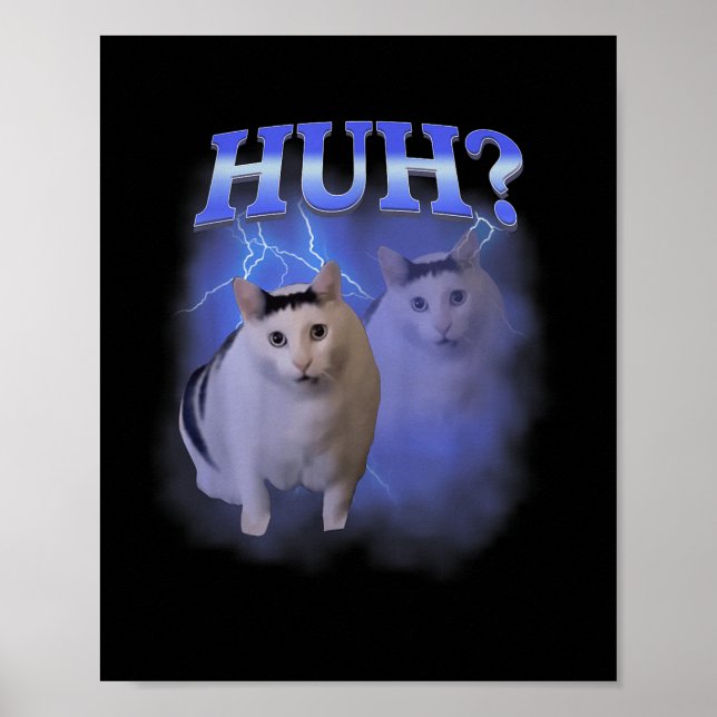 Fånig Cat Meme Funny Odely Bootleg Specific Da Poster (Framsidan)